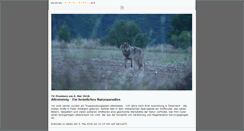 Desktop Screenshot of martinbetz.at